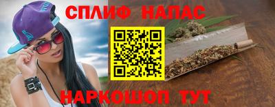 стафф Кингисепп