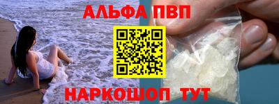стафф Кингисепп