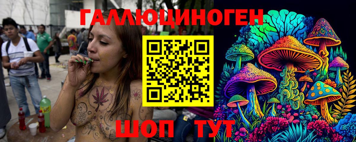 Галлюциногенные грибы Psilocybine cubensis Крымск